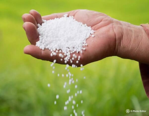 🌱 UREA Fertilizer 1kg – For Kitchen Gardening