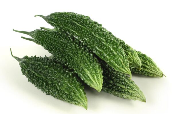 F-1 Hybrid Bitter Gourd (karela) Vegetable Seed kitchen gardening