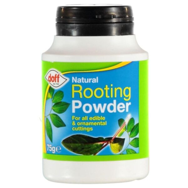 ROOTING POWDER (50gm) growth regulator for plants and seeds