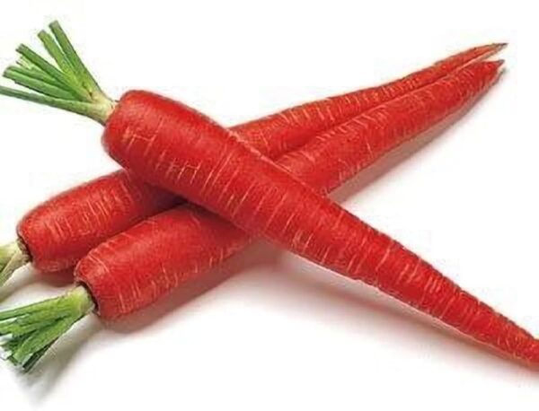 F1 Hybrid Carrot Gajjr seeds for kitchen gardening