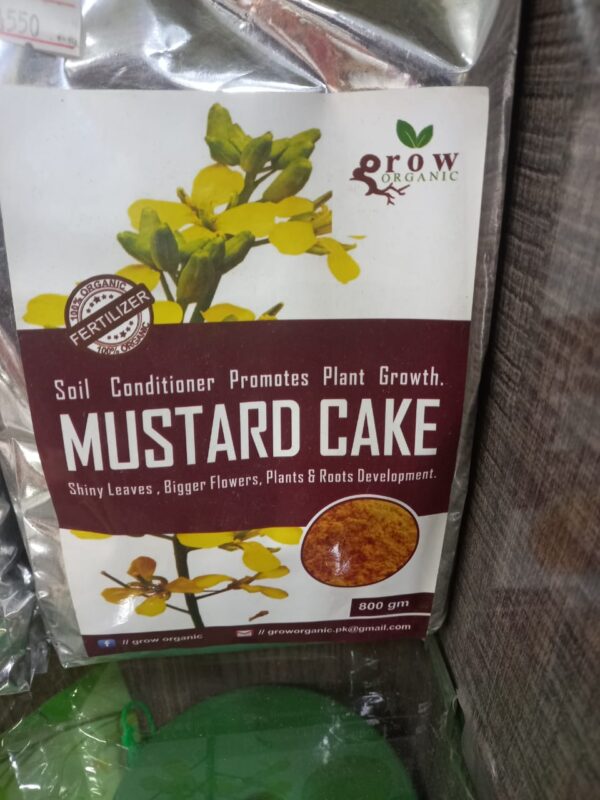Mustard cake organic fertilizer for plants and vegetables