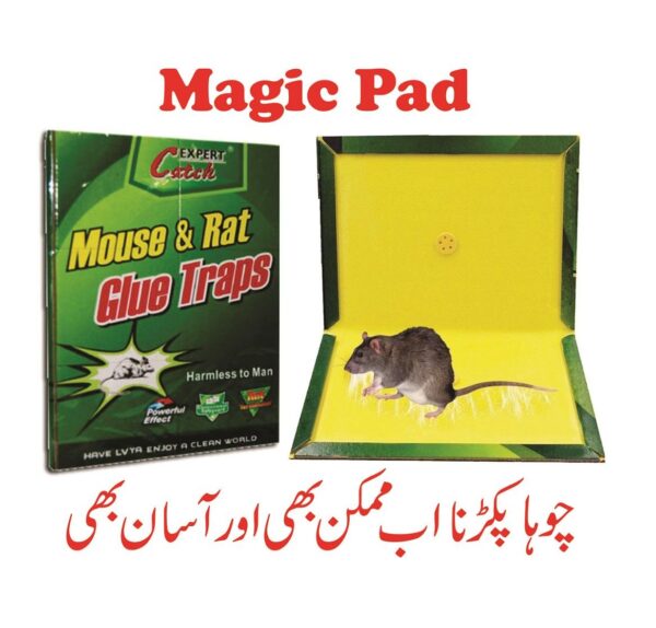 Pack Of 3 - Expert Rat Killer Mouse Catcher Glue Board Catch Trap Glue Book Mat Pad Mouse Catcher Glue Sticky Mouse Pad Traps Mouse Catcher Mice Professional Strength Glue and Foldable Cardboard