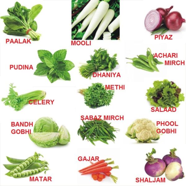 10 Super Hybrid F-1 Combo Pack Winter Vegetable Seeds For Kitchen Gardening
