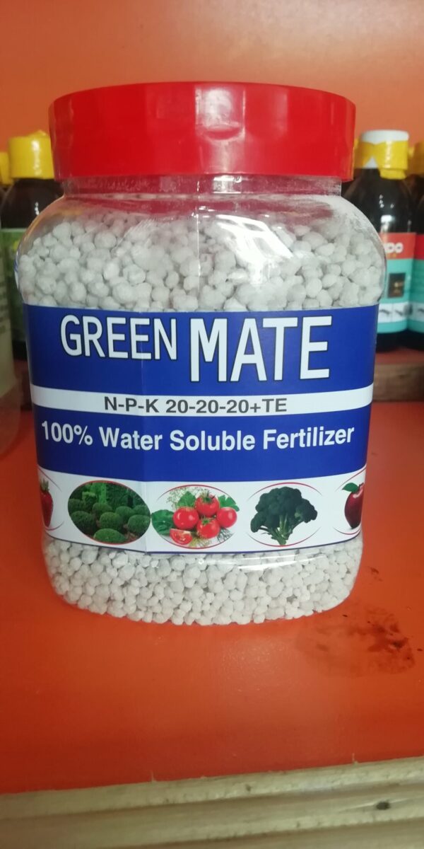 NPK 20 20 20+TE Granules GREEN MATE 500 gm 100% Imported Water Soluble Fertilizer
